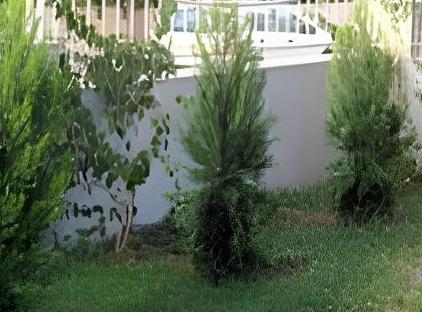 هتل دریم رکیدنس تورنگار