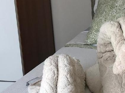 استودیو لگو خانه‌ها تورنگار
