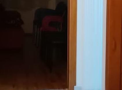 آپارتمان مرکز شهر و سواحل فالز تورنگار