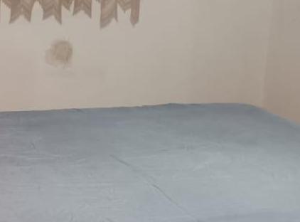 آپارتمان مرکز شهر و سواحل فالز تورنگار