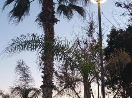 آپارتمان کیوت یک خوابه در قلب کنیاالتی تورنگار