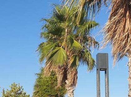 آپارتمان کیوت یک خوابه در قلب کنیاالتی تورنگار