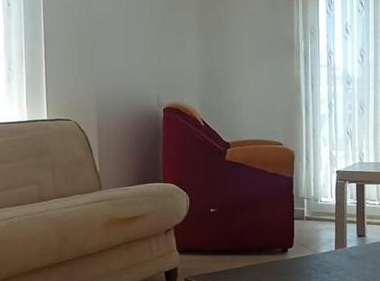 گوا شا اویمیز تورنگار