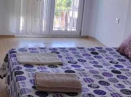 گوا شا اویمیز تورنگار