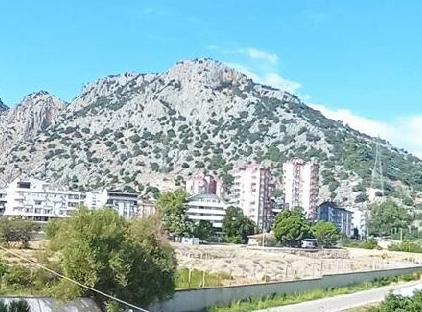 پمبه اینجی اویمیز تورنگار