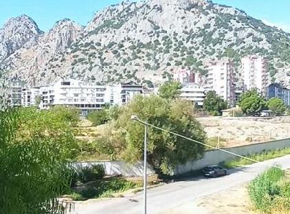 پمبه اینجی اویمیز تورنگار