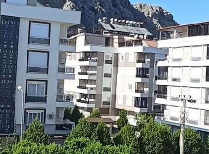 ساری موجهر اویمز تورنگار