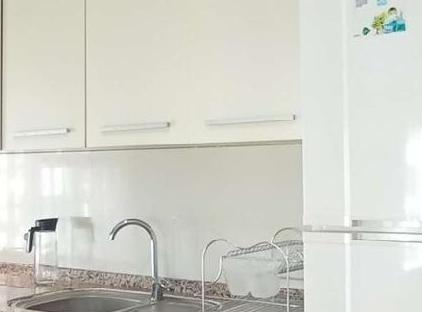 ساری موجهر اویمز تورنگار