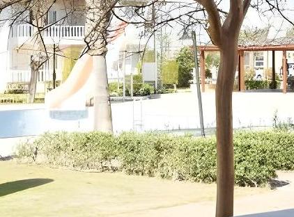 بلو هومز (D2) تورنگار