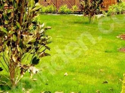آپارتمان لوکس یک خوابه با استخر نزدیک فرودگاه تورنگار