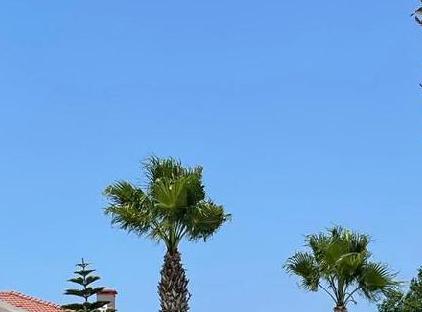 ویلاهای بلو هومز تورنگار