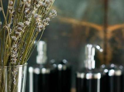 ویلای لیوینگ دریم هارمونی تورنگار