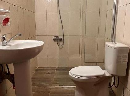 هاستل کویو بیرگاردن تورنگار