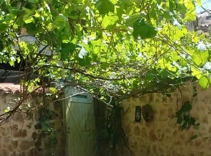 هاستل کویو بیرگاردن تورنگار