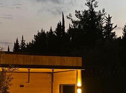 بونگالو میلگوس تورنگار