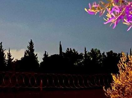 بونگالو میلگوس تورنگار