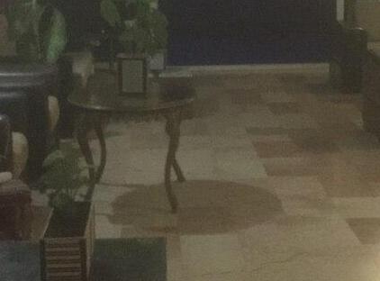 هتل لوگانو استاندارد اُدا آنتالیا تورنگار