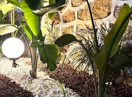 سوئیت گاردن سایلنس B7 1+1 طبقه 2 تورنگار