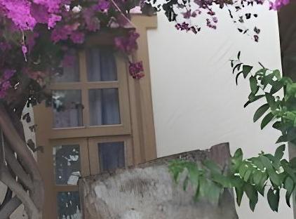 هتل پودینگ تورنگار