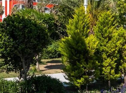 هتل اورنج کانتی بلک تورنگار