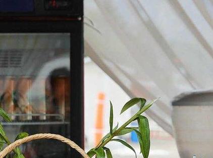 هتل TUI مجیک لایف ریکسوس بلدیبی - فقط برای بزرگسالان - دسترسی به سرزمین افسانه‌ها تورنگار