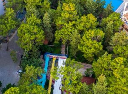 Armas Kaplan Paradise - All Inclusive تورنگار