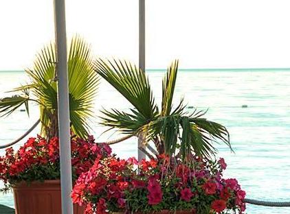 Amara Club Marine Nature - All Inclusive تورنگار