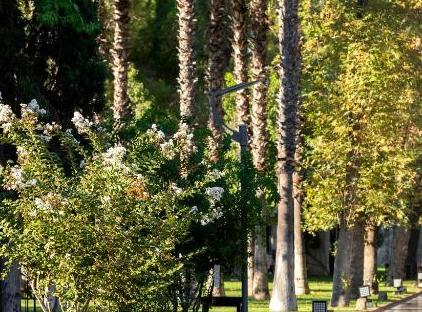 Sherwood Exclusive Kemer - Kids Concept تورنگار