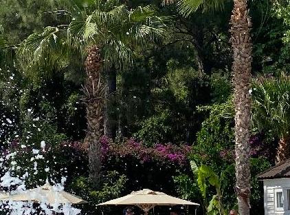 GRAND MIR'AMOR HOTEL & Spa -Ultra  All Inclusive تورنگار