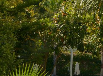 GRAND MIR'AMOR HOTEL & Spa -Ultra  All Inclusive تورنگار