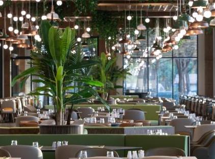 Swandor Hotels & Resorts - Kemer تورنگار