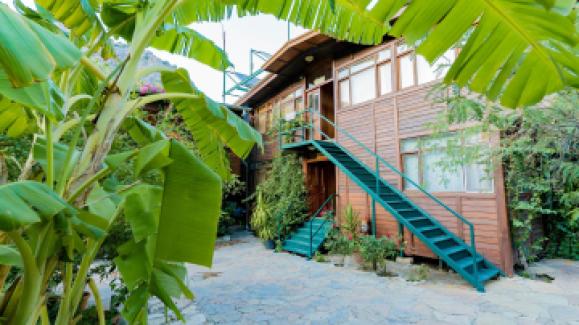 Türkmen Tree Houses