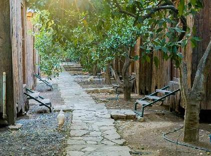 Türkmen Tree Houses تورنگار