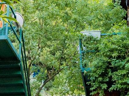 Türkmen Tree Houses تورنگار