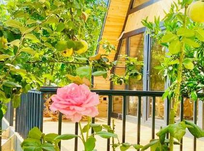 GARDEN BUNGALOW تورنگار