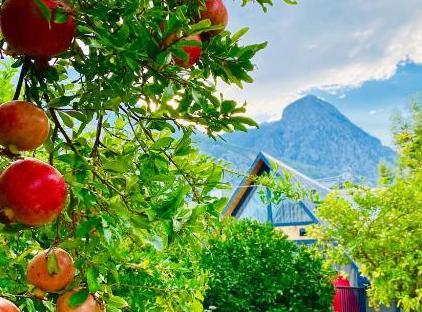 GARDEN BUNGALOW تورنگار