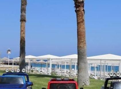 Dobedan World Palace تورنگار