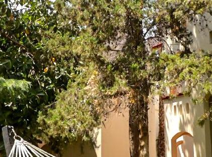 Queen's Park Goynuk Hotel - All Inclusive تورنگار