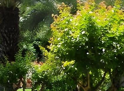 Queen's Park Goynuk Hotel - All Inclusive تورنگار