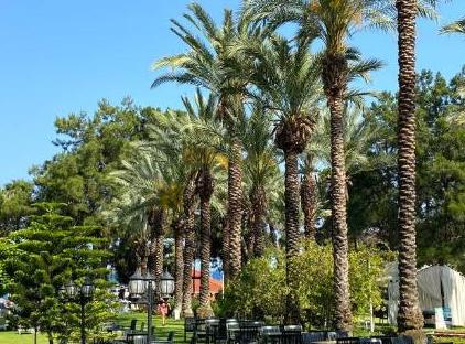 Queen's Park Goynuk Hotel - All Inclusive تورنگار