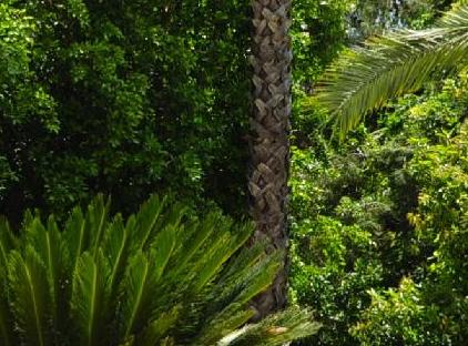 Queen's Park Goynuk Hotel - All Inclusive تورنگار