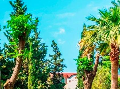 Queen's Park Goynuk Hotel - All Inclusive تورنگار