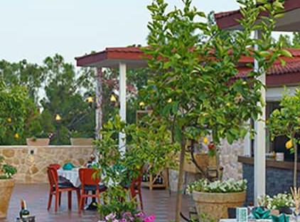 Pirate's Beach Club تورنگار