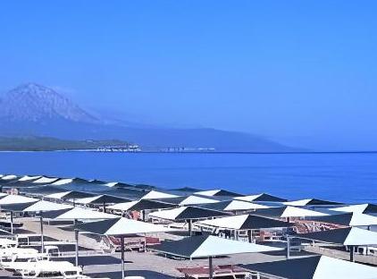 Rox Royal Hotel تورنگار