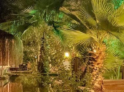 Luna Dorada Hotel تورنگار