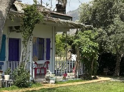 gaya pansiyon تورنگار