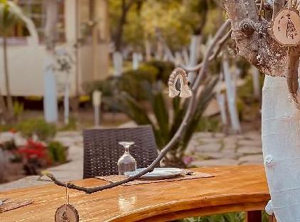 Oase Garden Hotel تورنگار
