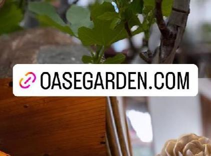 Oase Garden Hotel تورنگار