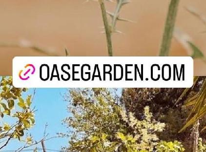 Oase Garden Hotel تورنگار