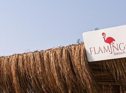 Amara Comfort Resort تورنگار